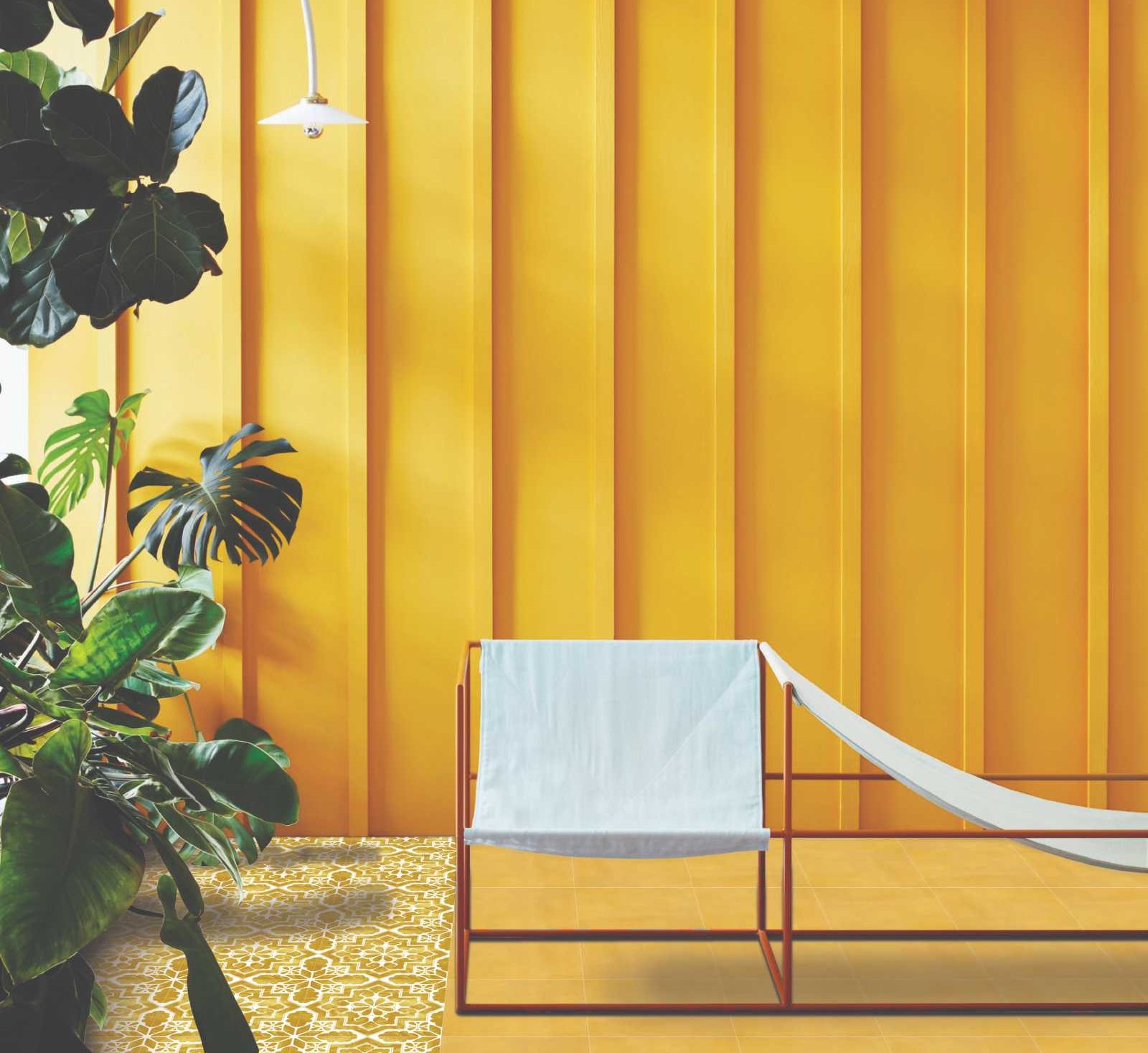 HICOLOR 300X300